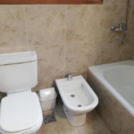 Agrega toque frescura tu estancia