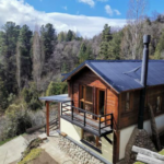 Alquiler Departamento Melodia Natural