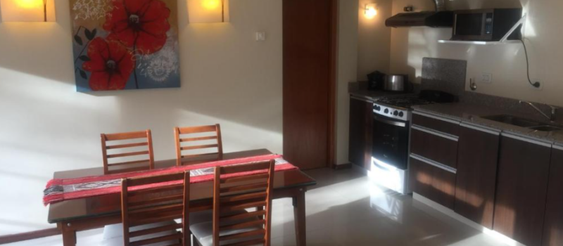 Apartamento Deluxe Wifi Gratis Cocina Totalmente Equipada Servicio Alquiler Departamento Abedul San Martin De Los Andes Neuquen