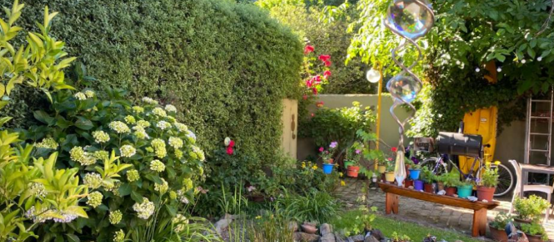 Apartamento Entero De 40 M Con Un Dormitorio Alquiler Departamento La Casita De Maby Alquiler Temporario En San Martin De Los Andes Neuquen Argentina