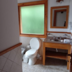 Diario conexion wifi gratuita tranquilidad asegurada argentina