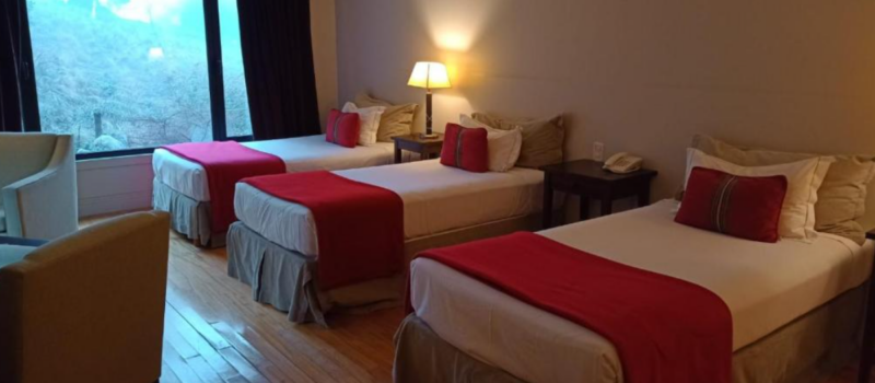 Que Desean Sumergirse En La Belleza Natural De Hotel Loi Suites Chapelco San Martin De Los Andes Neuquen